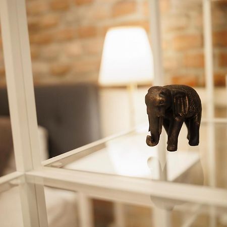 Jolie Flat In The Heart Of The City ティミショアラ エクステリア 写真