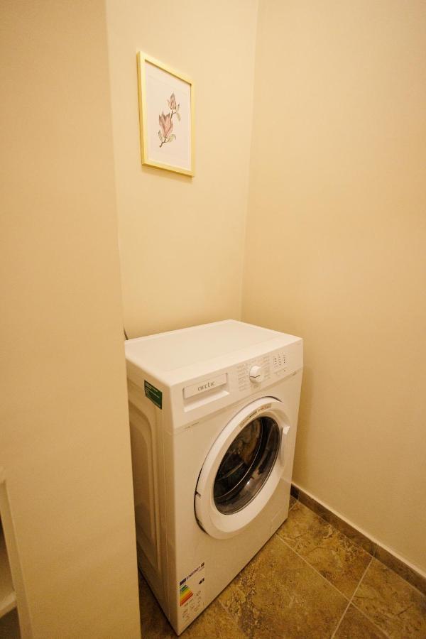 Jolie Flat In The Heart Of The City ティミショアラ エクステリア 写真